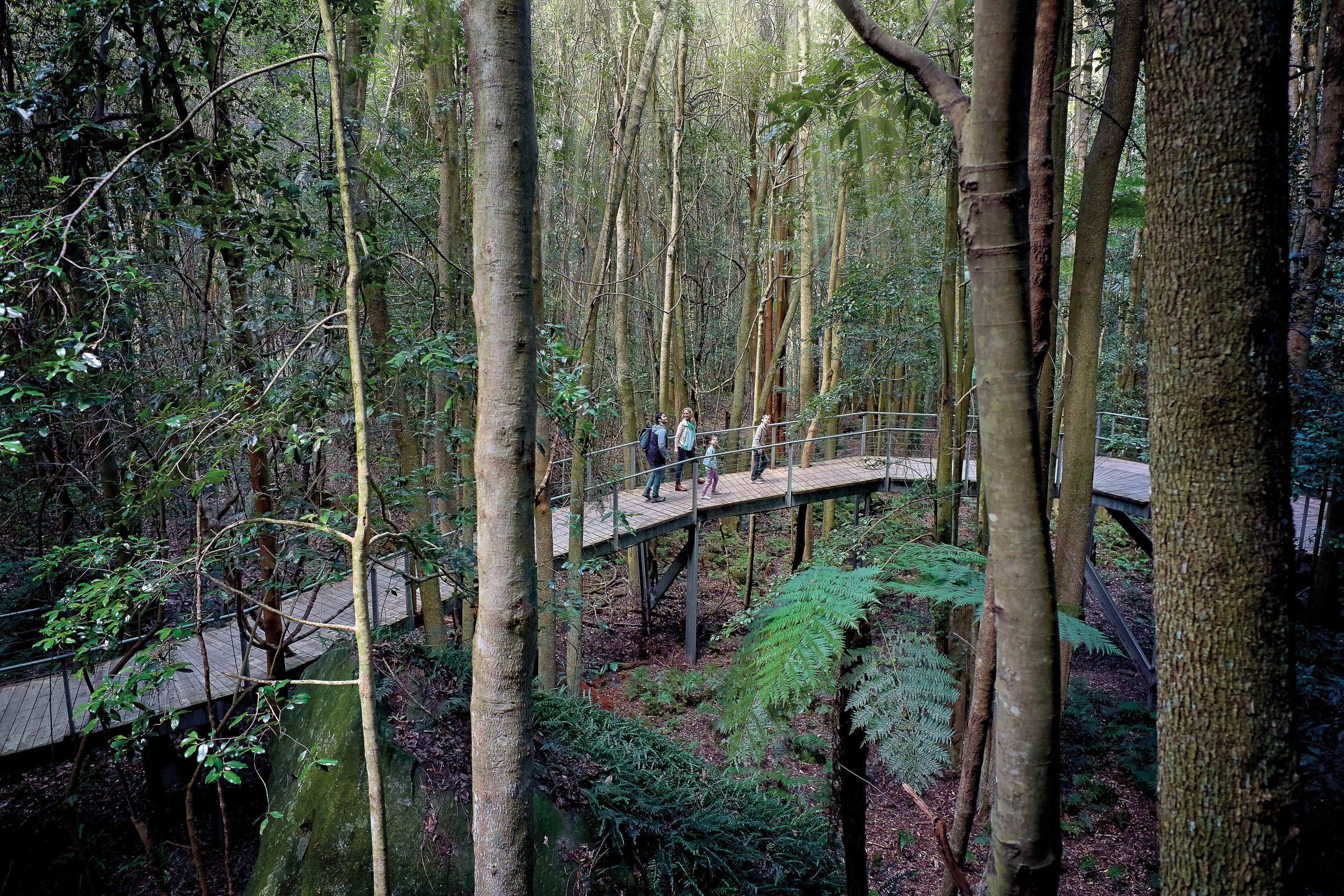 Blue Mountains Zig Zag Tour with Steam Train Ride, Scenic World, Three Sisters & Ferry Harbour Cruise