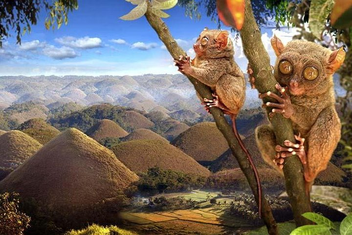 BOHOL COUNTRY SIDE TOUR/ LOBOC BUFFET LUNCH (Private) - Bohol, Philippines