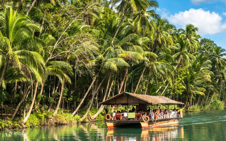 BOHOL COUNTRY SIDE TOUR/ LOBOC BUFFET LUNCH (Private)