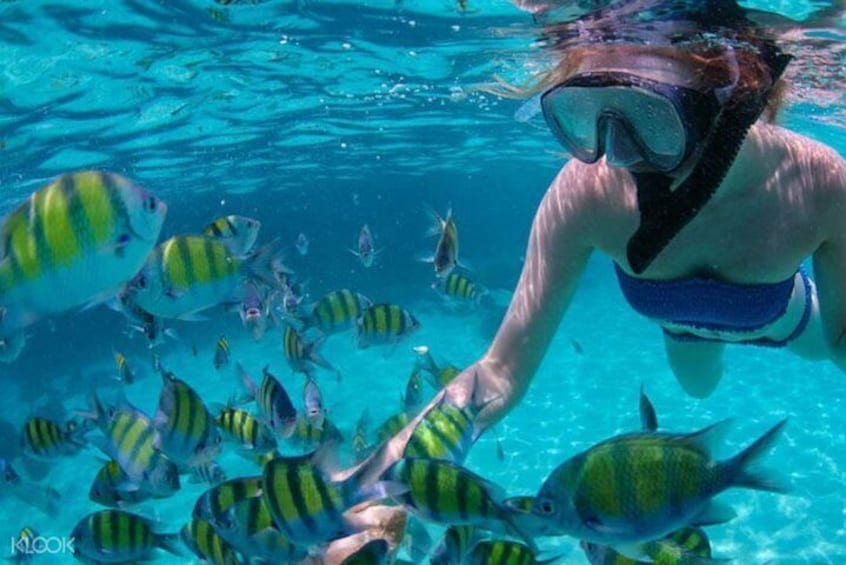 MACTAN ISLAND HOPPING & PICNIC LUNCH