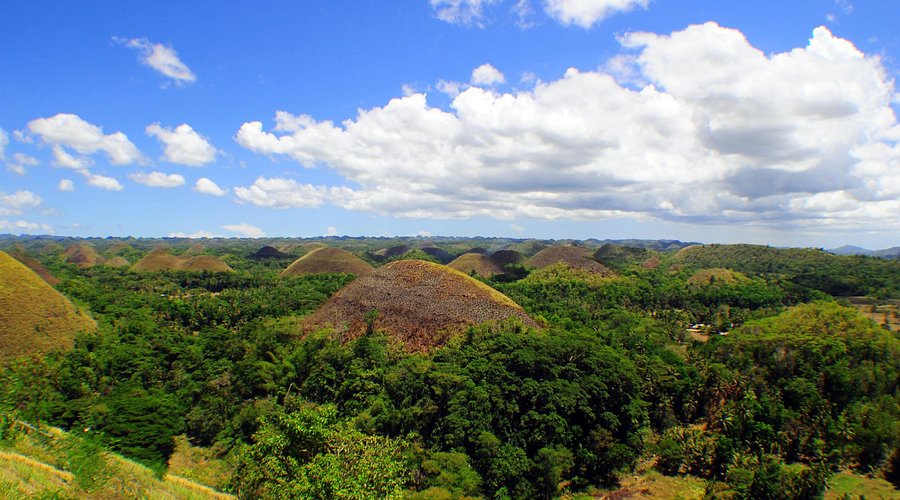 BOHOL COUNTRYSIDE TOUR & BUFFET LUNCH & ALL LAND & SEA TRANSFER