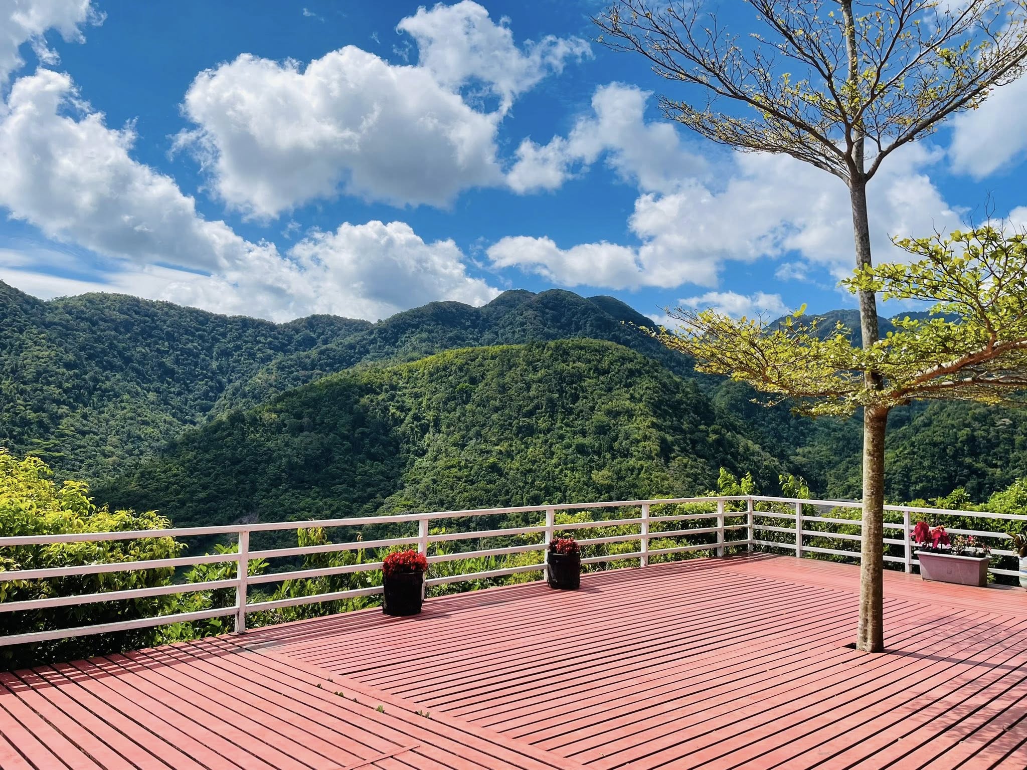 EXPLORE DSB (DON SALVADOR BENEDICTO)