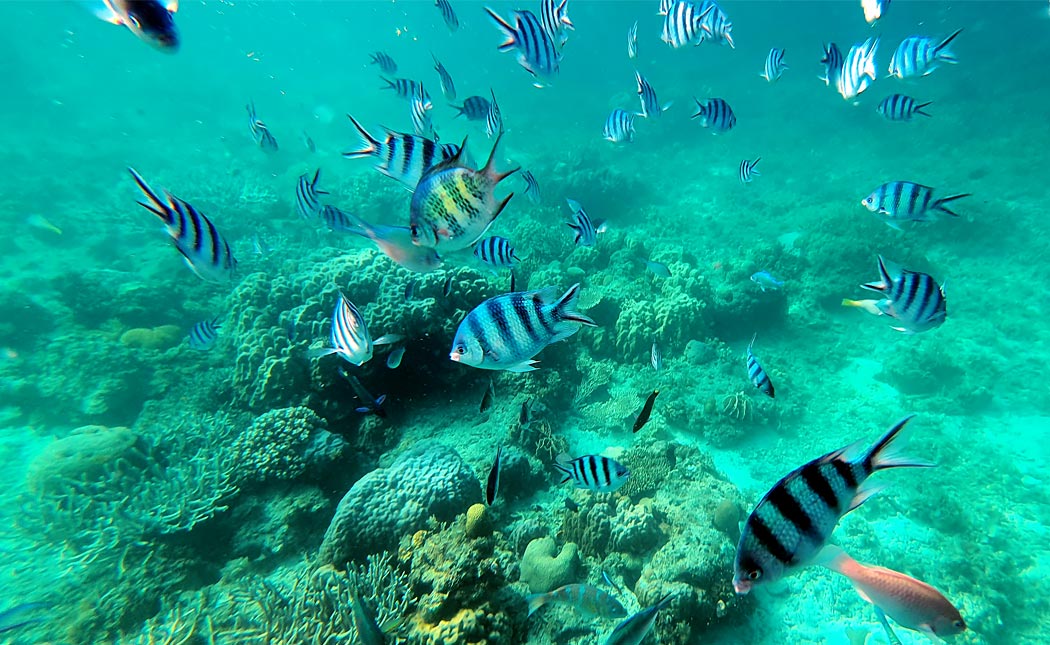 ISLAND PORT BARTON B (Joiner) - El Nido, Philippines