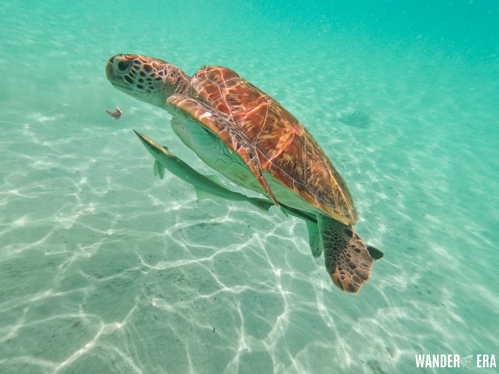 ISLAND PORT BARTON B (Joiner)