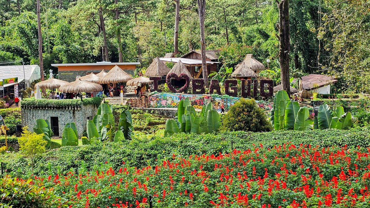 BAGUIO WHOLE DAY TOUR WITH LUNCH (PRIVATE)