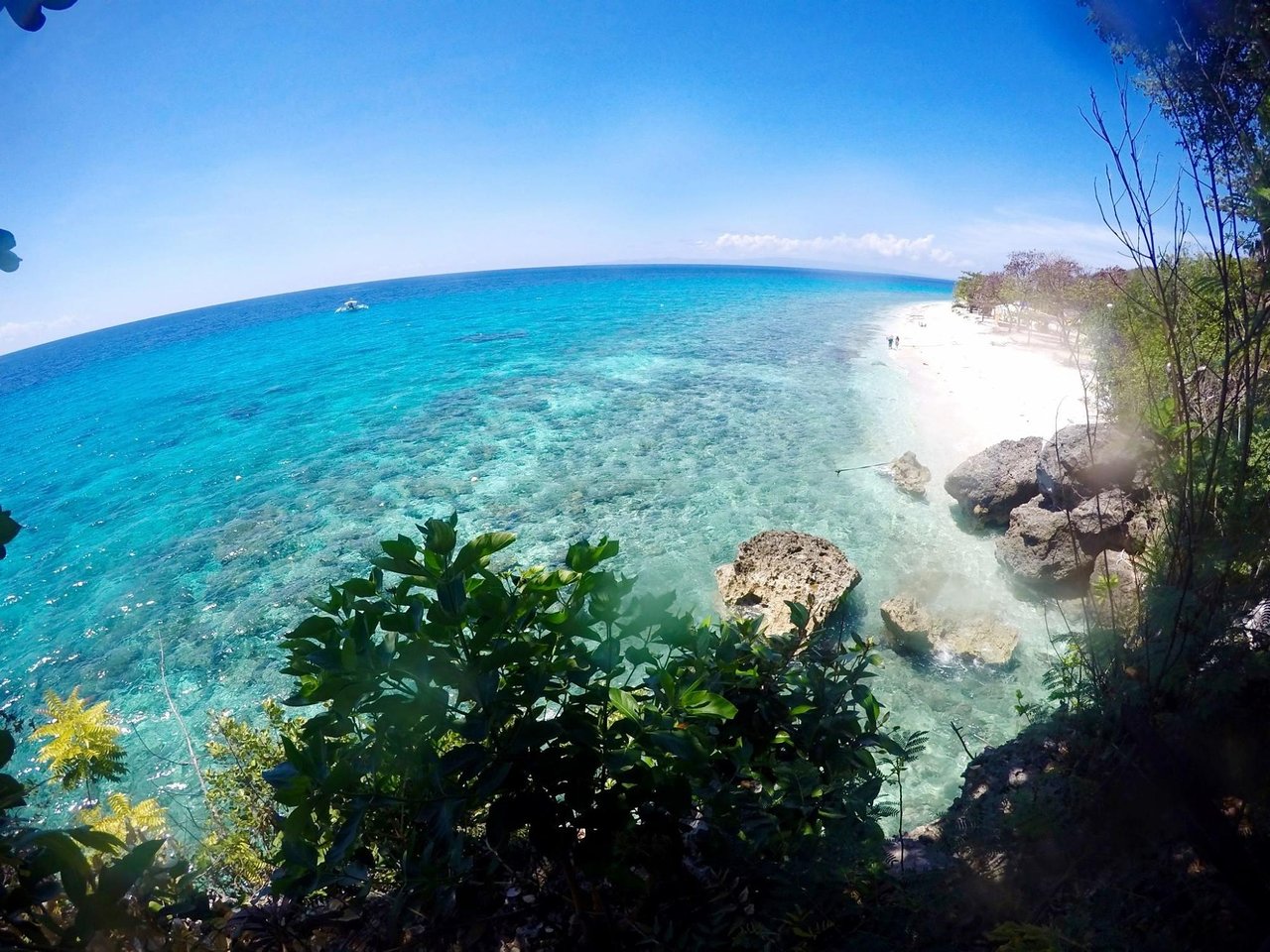 Siquijor Oslob Whale shark & Sumilon Sand bar from Dumaguete City  (Private Tour) - Siquijor, Philippines