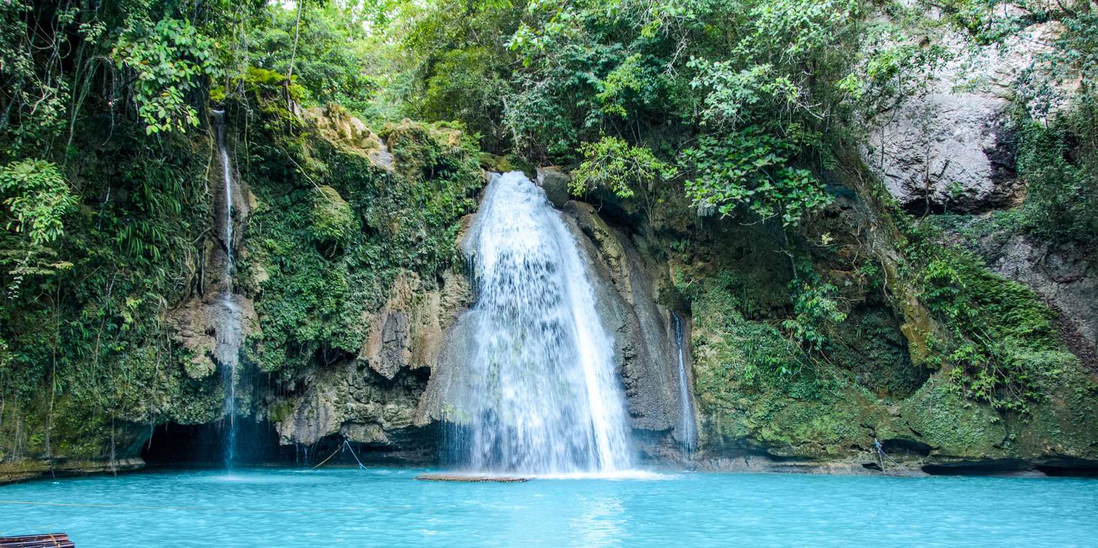 Siquijor Oslob Whale shark & Canyoneering w/ Kawasan falls from Dumaguete City - Siquijor, Philippines