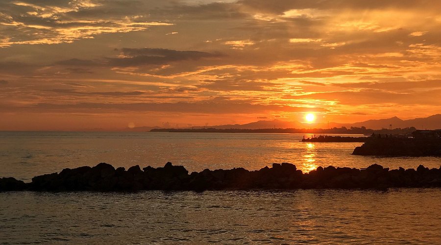 WHOLE DAY ILOILO CITY T...