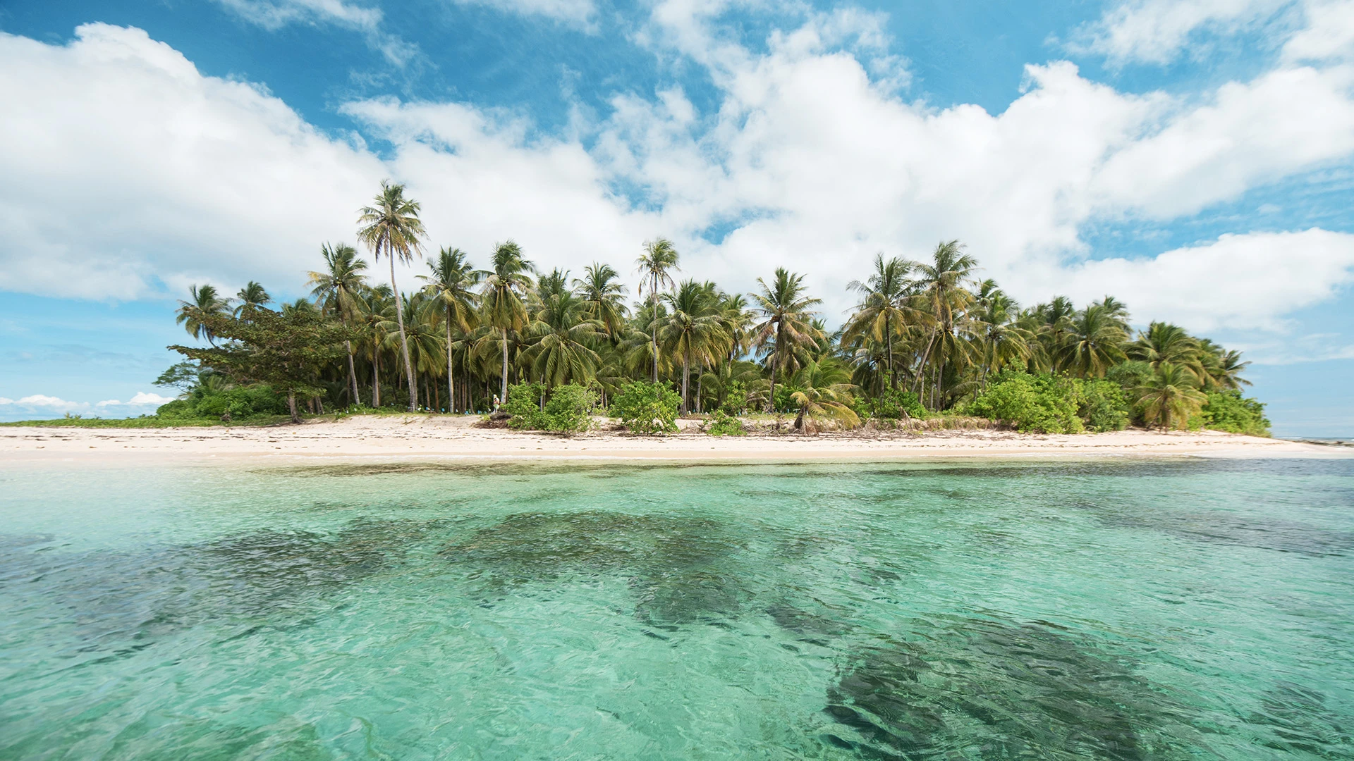 CORON REEF AND WRECK PRIVATE