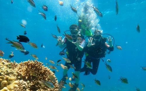 ISLAND HOPPING & BUFFET LUNCH, CRYSTAL COVE ISLAND AND SNORKELING(JOINERS)