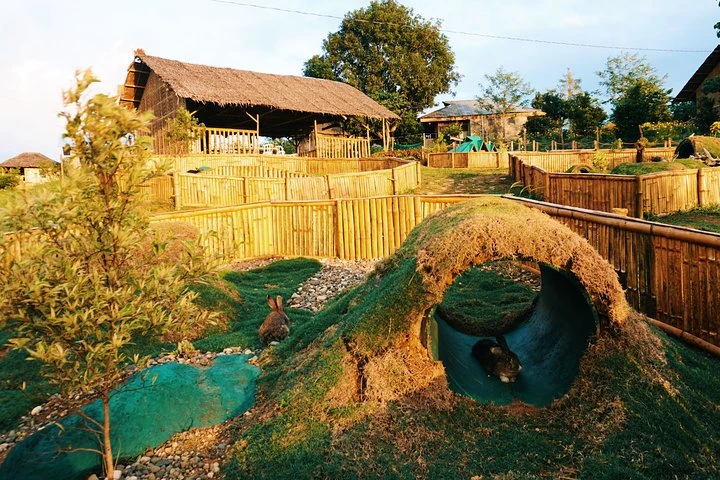 Pamplona Sightseeing Tour (Private Tour)