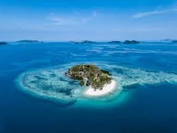 REEF AND WRECK (JOINER)