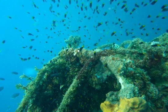 REEF AND WRECK (JOINER)