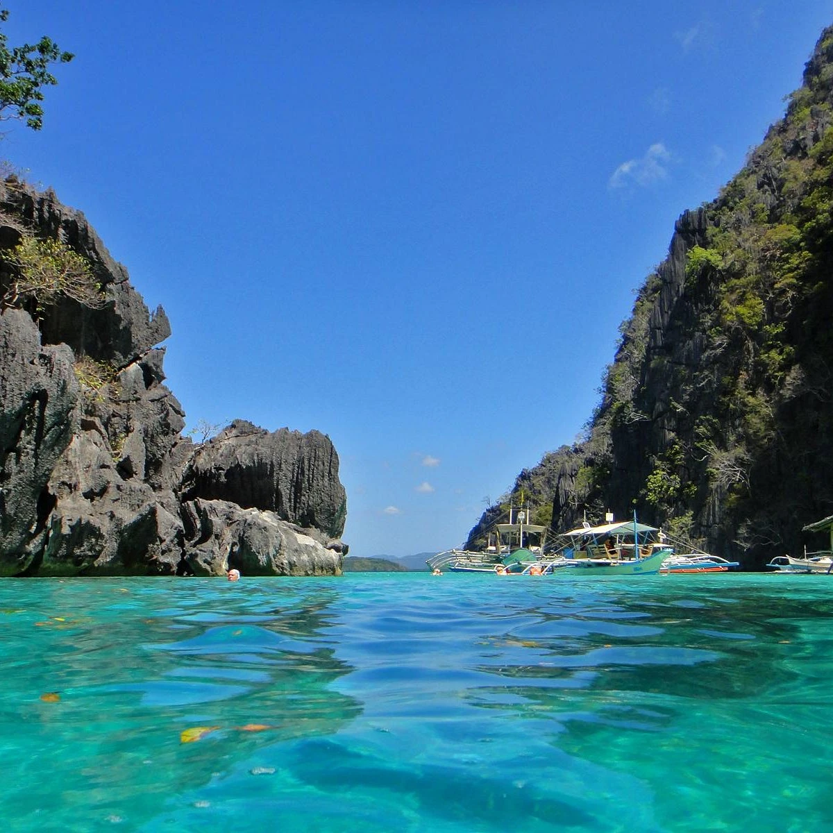 CORON TOUR B (JOINER)