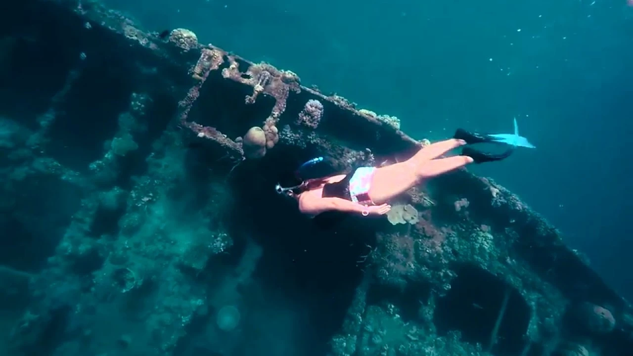 CORON TOUR B (JOINER)