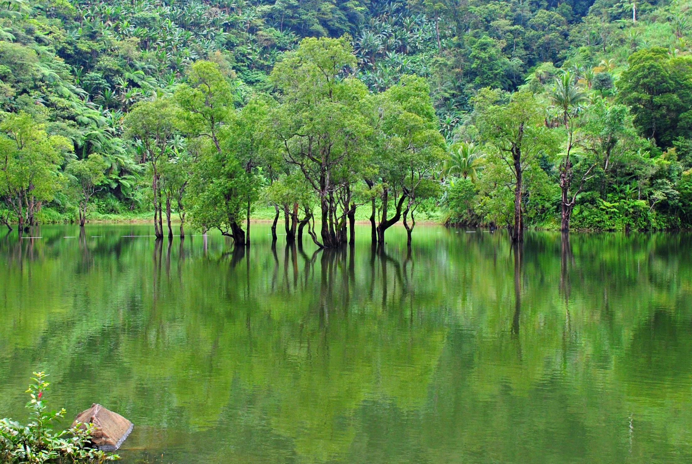 Dumaguete City Tour & Twin Lake Balinsasayao & Danao - Private Tour