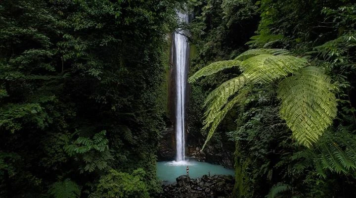 Dumaguete Valencia Tour + Forest Camp & Casaroro Falls - Private Tour - Dumaguete, Philippines