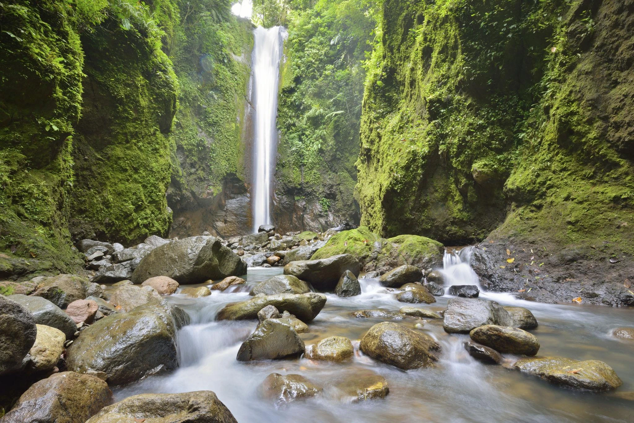 Dumaguete Valencia Tour + Forest Camp & Casaroro Falls - Private Tour