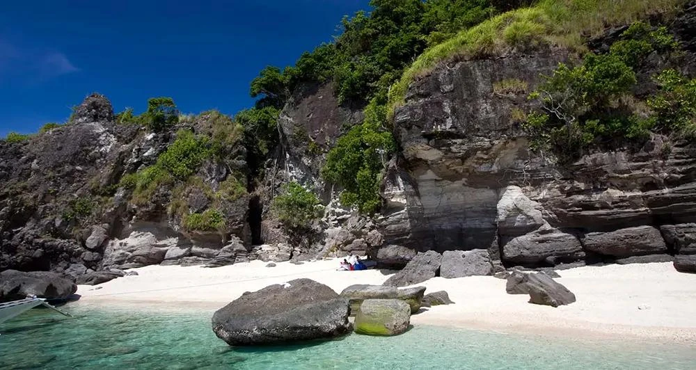 Dumaguete Apo Island & Snorkeling w/ Turtle - Private Tour