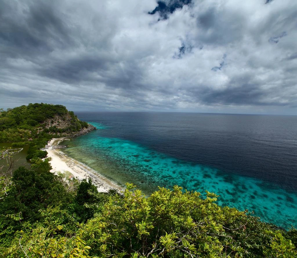 Dumaguete Apo Island & Snorkeling w/ Turtle - Private Tour