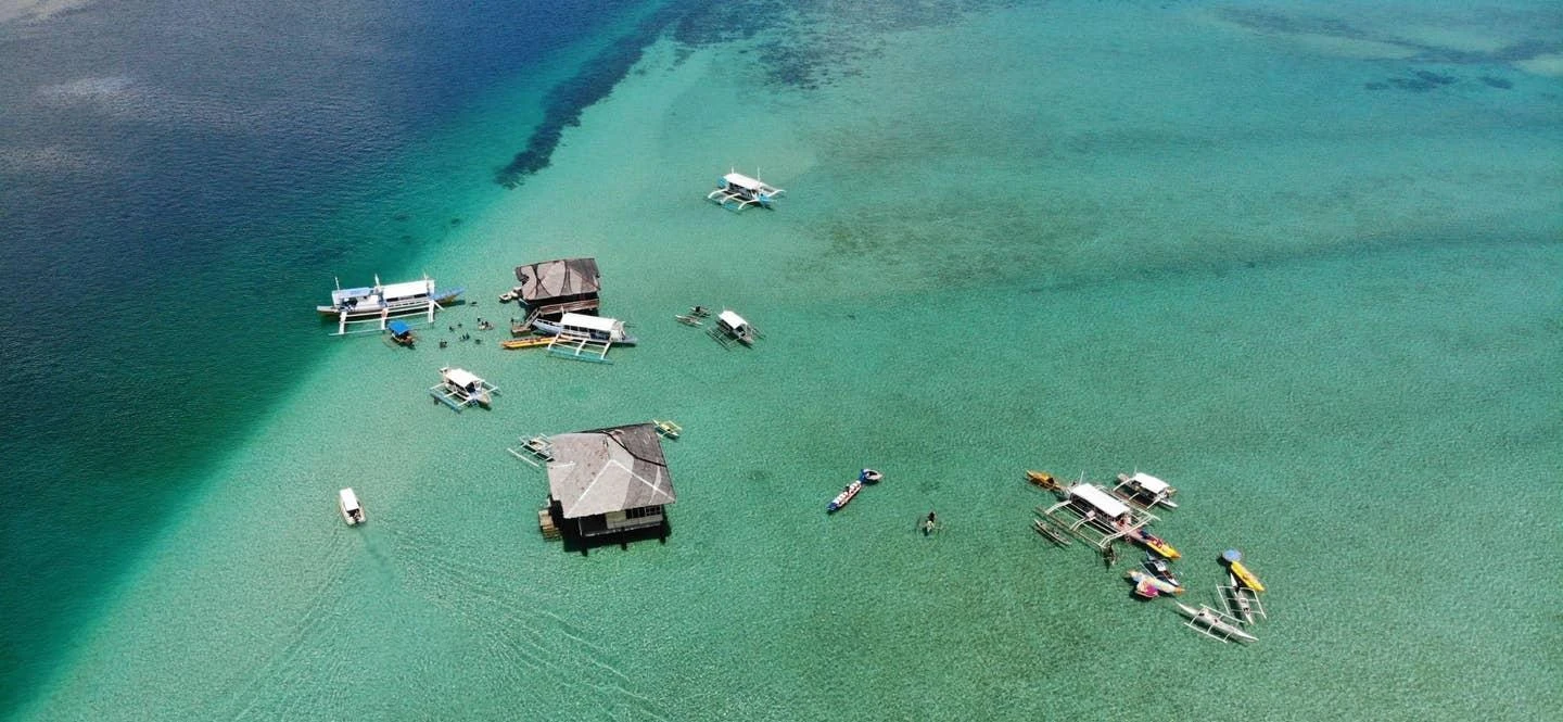 Dumaguete Manjuyod Sand Bar & Chasing w/ Dolphins - Private Tour