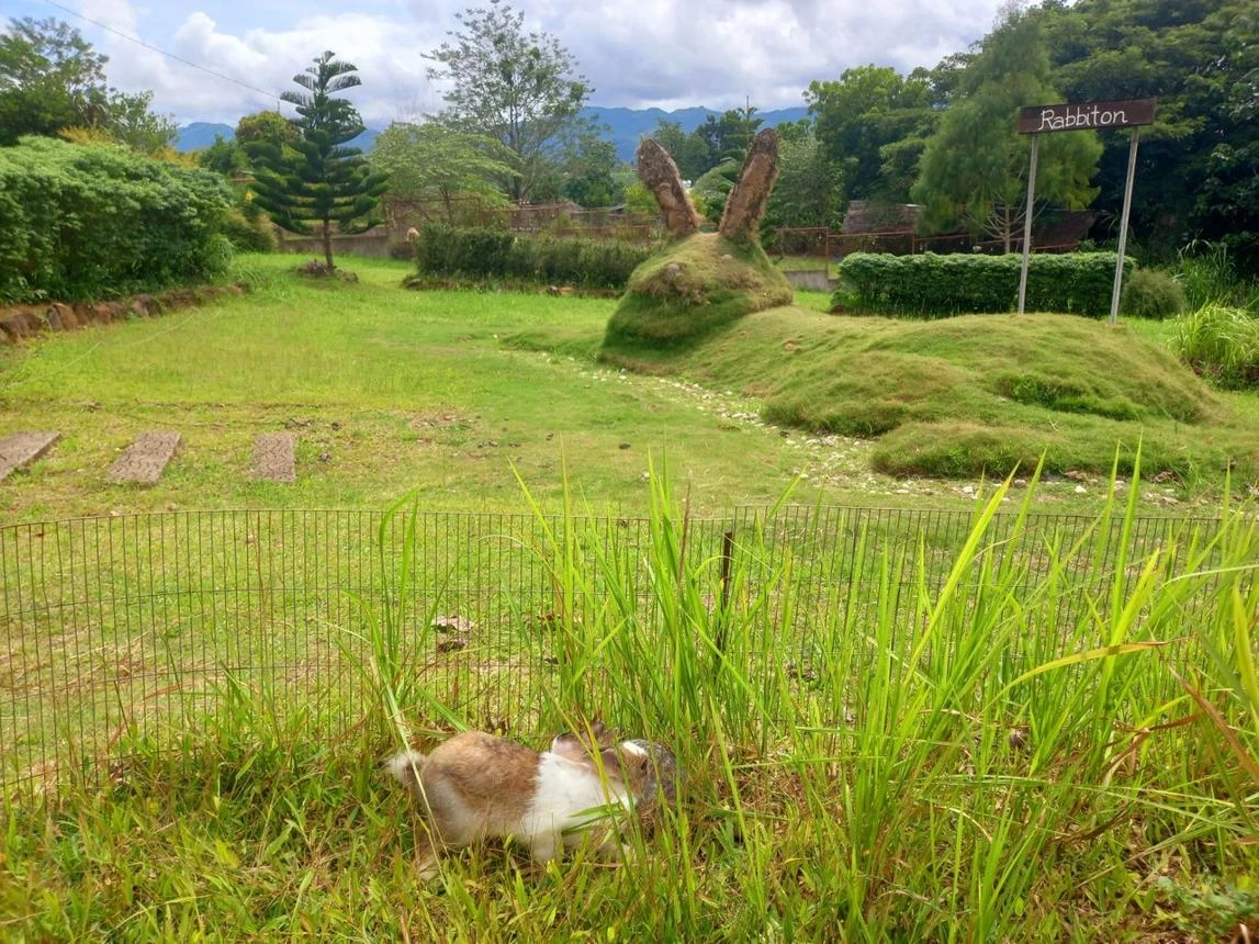Dumaguete Pamplona Sightseeing Tours w/ Cafe Alicia - Private Tours