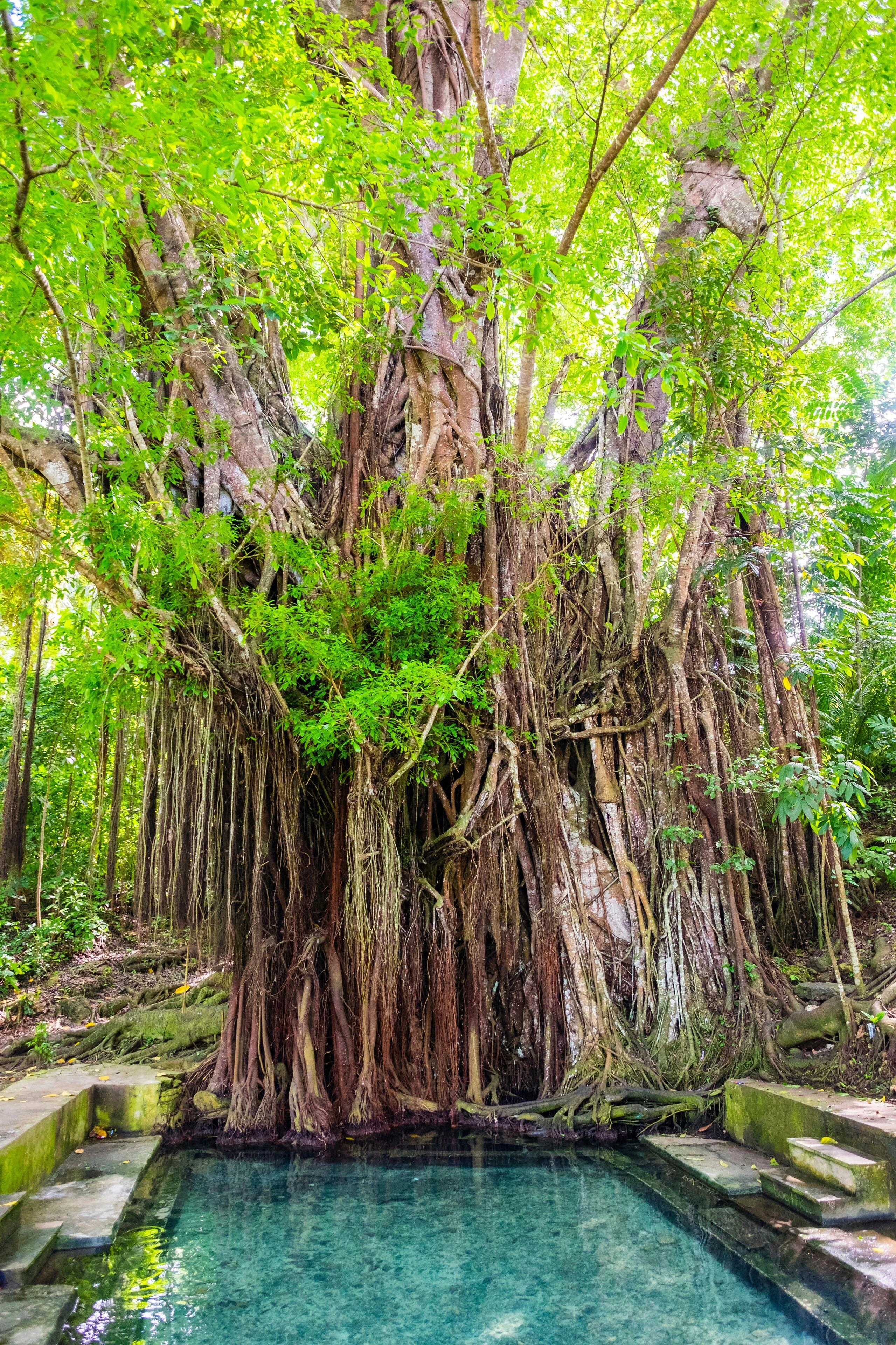 Siquijor Mountain Tours from Dumaguete City - Private Tour